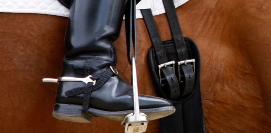 fux med dressyrgjord