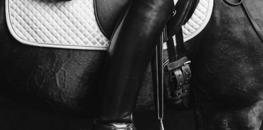 häst med dressyrsadelgjord