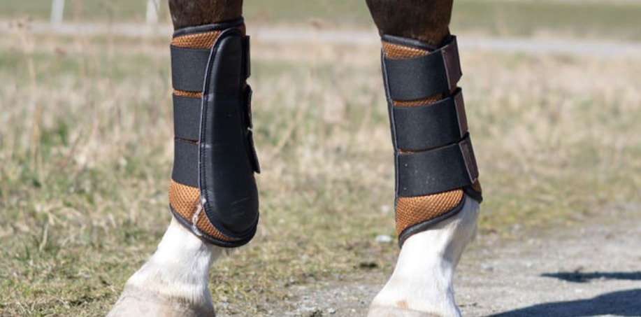 bruna benskydd som andas till häst