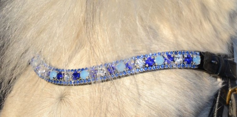 blått strasspannband på vit ponny