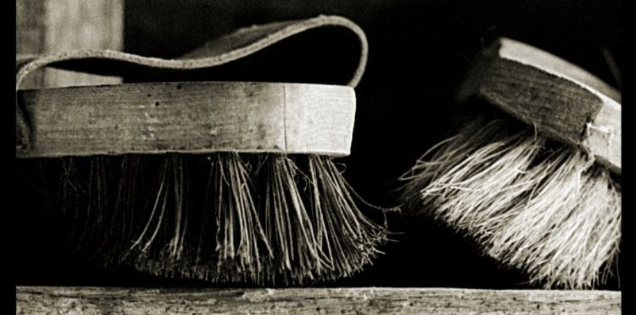 hästborstar i stallet