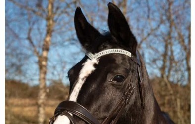 v-design-pannband-hast