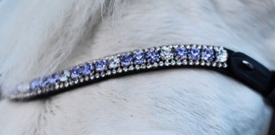 lilavitt strasspannband på vit ponny