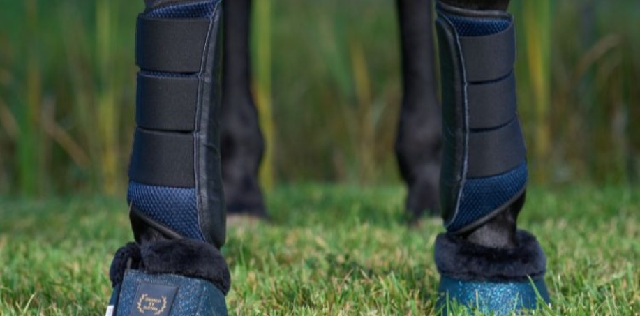 blåa luftiga benskydd häst