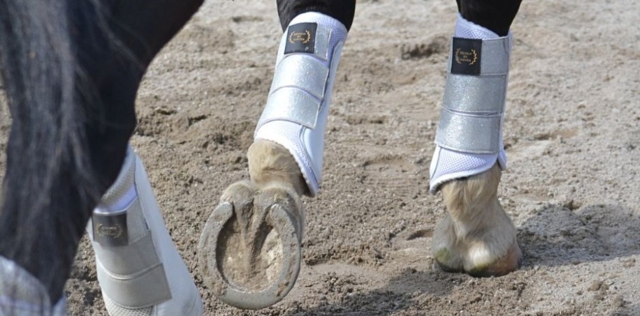 vita dressyrskydd till häst