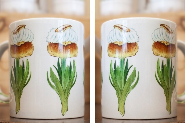 Foto på en kaffemugg med motiv av en semelhyasint.
