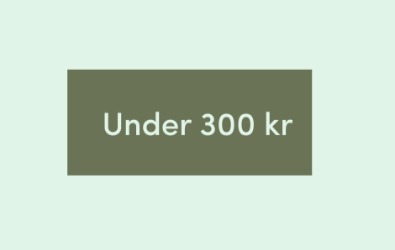 Under 300 kr