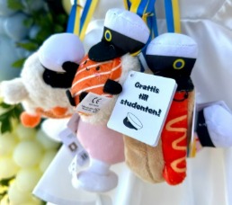 Studentnallar och hängen