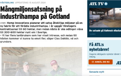 Mångmiljonsatsning på industrihampa på Gotland