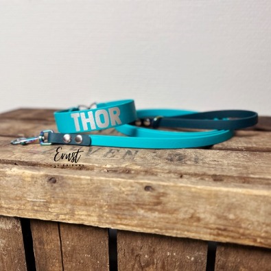 BioThane® halsband & koppel i färgen Teal med mörkgröna detaljer