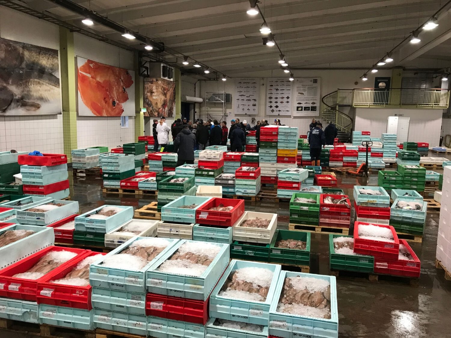 Fiskl&aring;dor p&aring; pallar i en grossistlokal