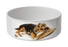 Voederbak voor hond