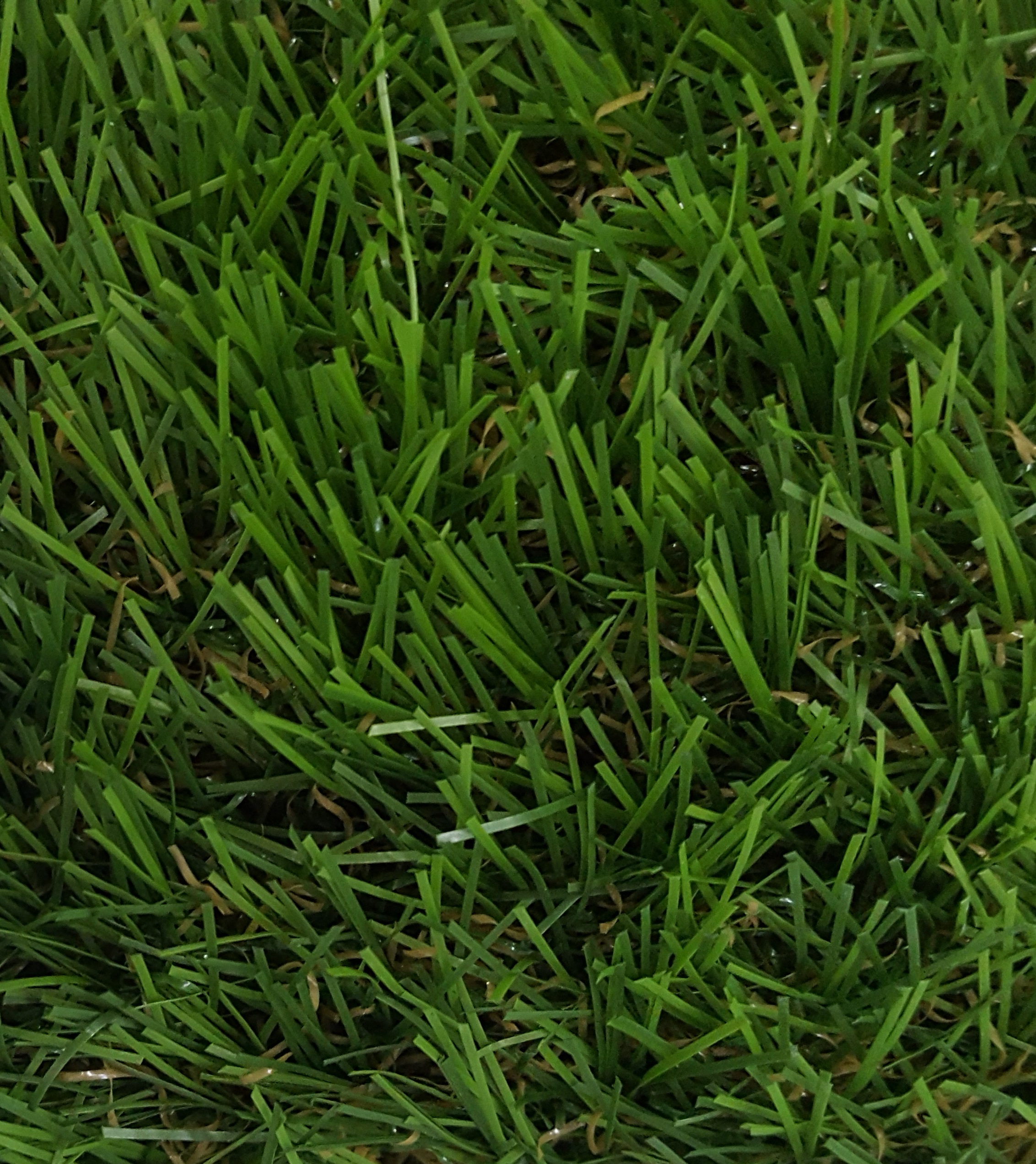 Athens Astro 28mm Artificial Garden Grass Realistic Natural Turf Fake Lawn