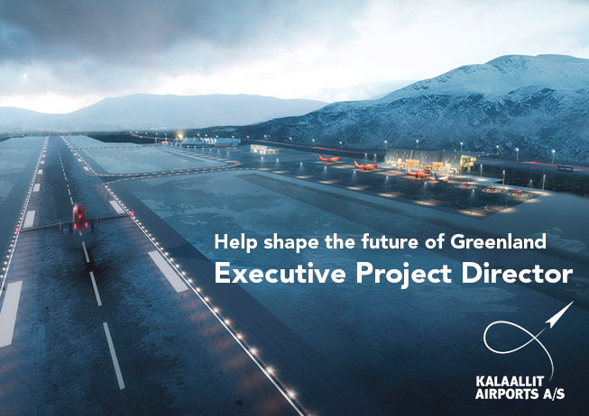 Executive Project Director with international experience