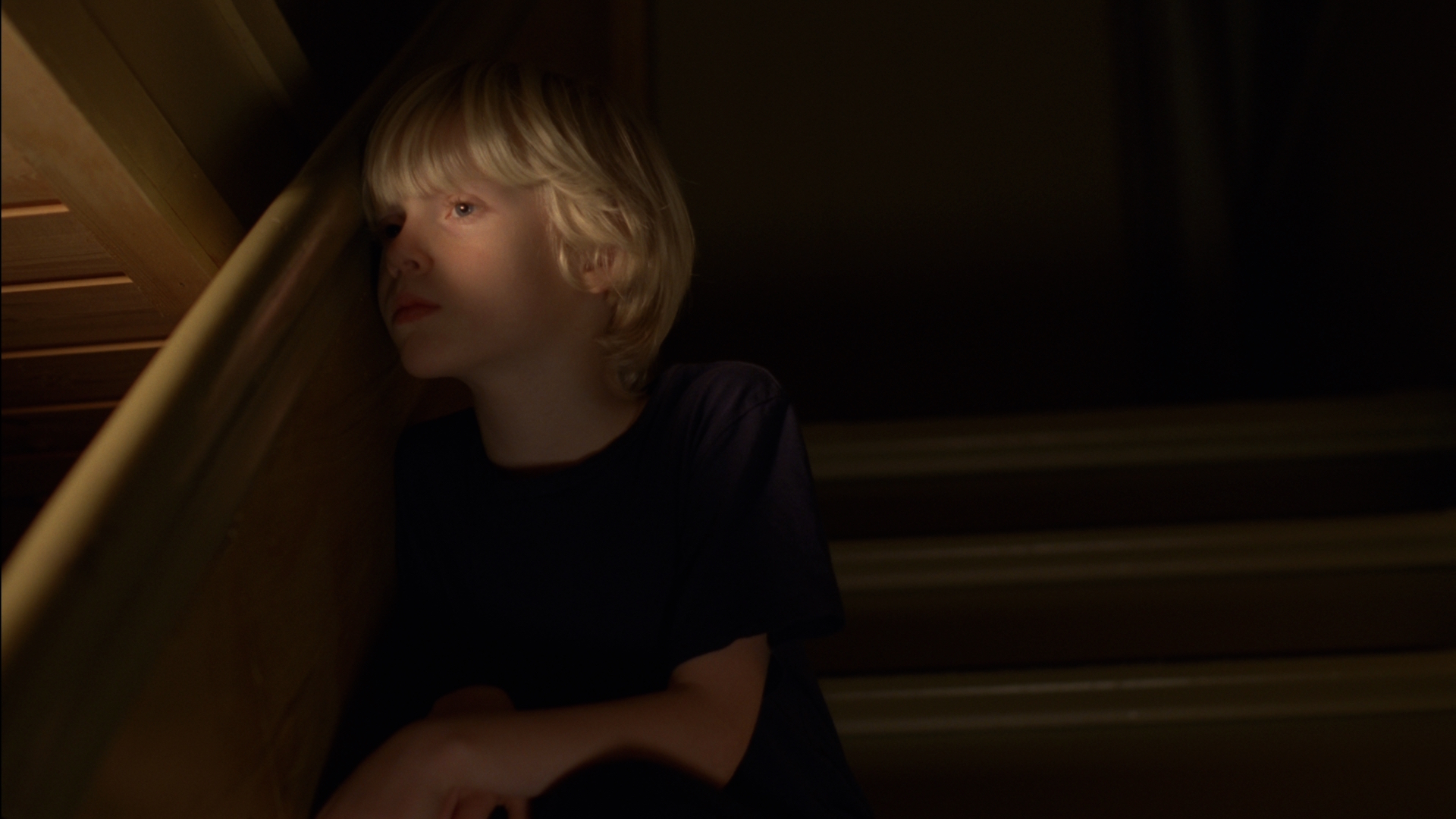 Aslak In The Staircase Skyggenes Dal