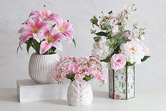 Flowers & Plants in Pots