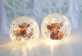 LED Glassware