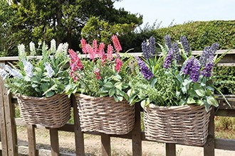 Floral Baskets Floral Baskets