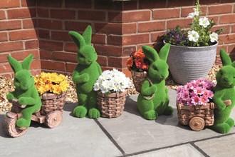 Planters and Plant Pots