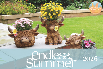 Blog - Endless Summer 2026