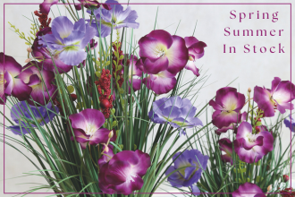 Blog - Spring Summer In Stock 25 Spring Summer In Stock 25