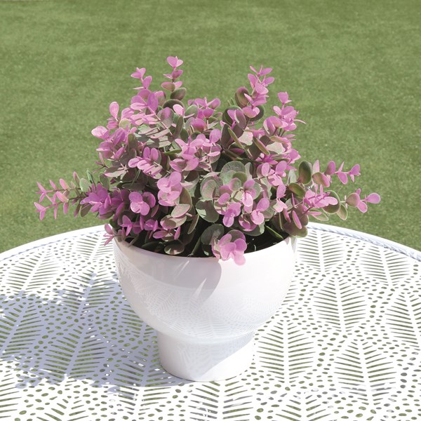 Purple Eucalyptus Plant in a White Pot 28cm Purple Eucalyptus Plant in a White Pot 28cm