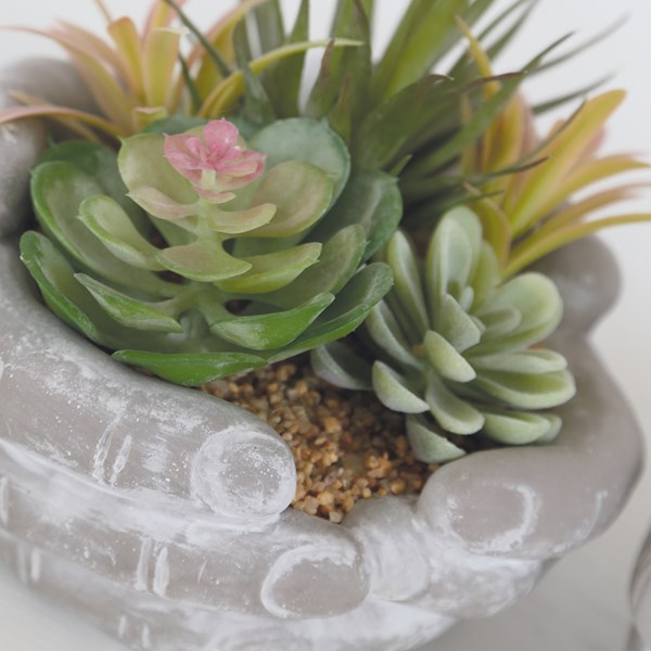Succulent Arrangement in Hands Pot 15.5cm 2 Assorted
