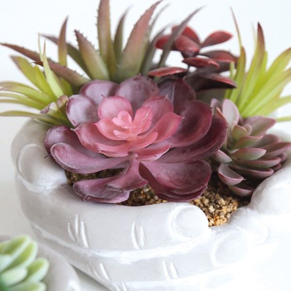 Succulent Arrangement in Hands Pot 15.5cm 2 Assorted