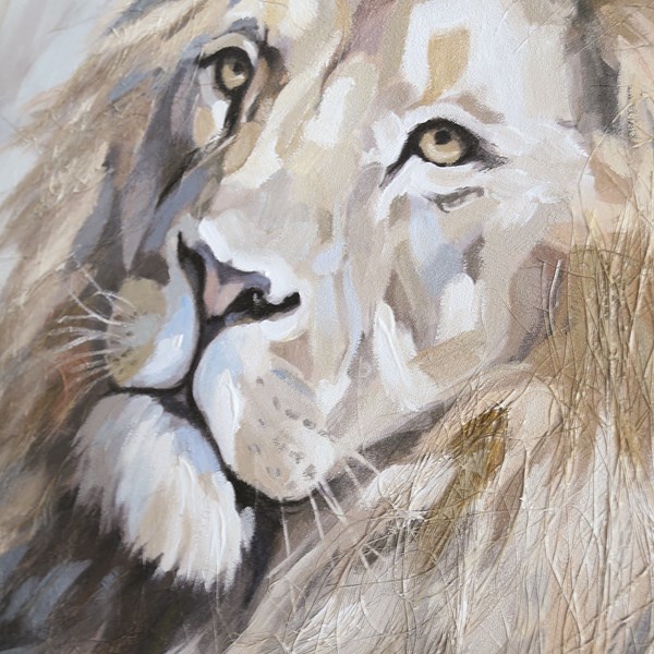 Canvas Oil Lion 80x80cm