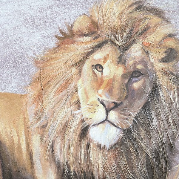 Canvas Oil Laying Lion 80x100cm