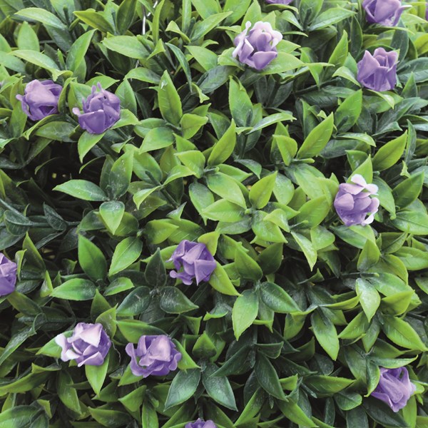 Topiary Hanging Ball 30cm 2 Assorted Topiary Hanging Ball 30cm 2 Assorted