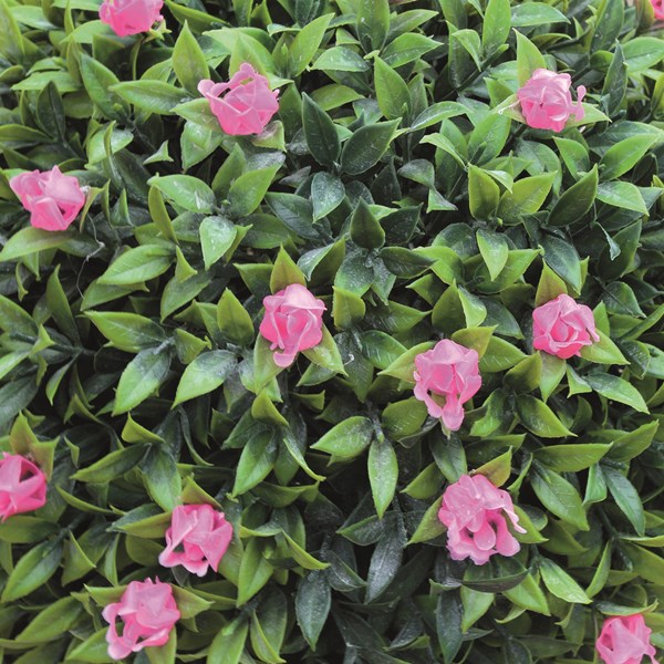 Topiary Hanging Ball 30cm 2 Assorted