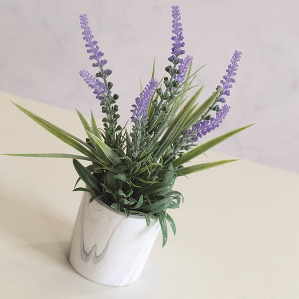 Lavender in Marble Pot 27cm