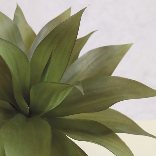 Potted Palm Plant 30cm