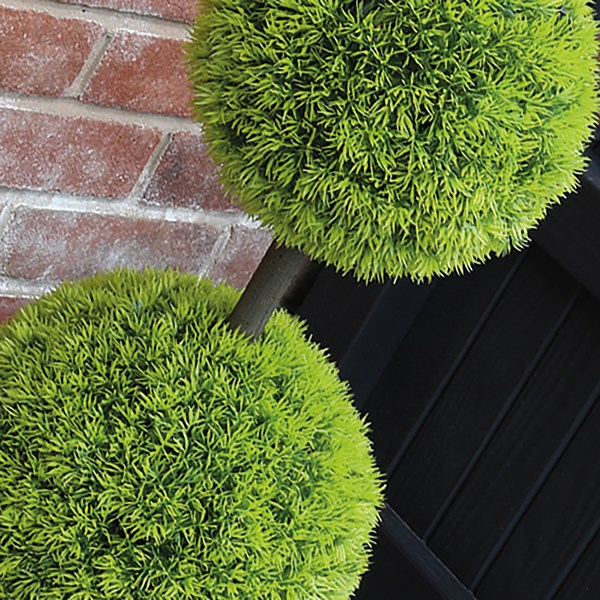 Potted Topiary Ball Tree 100cm