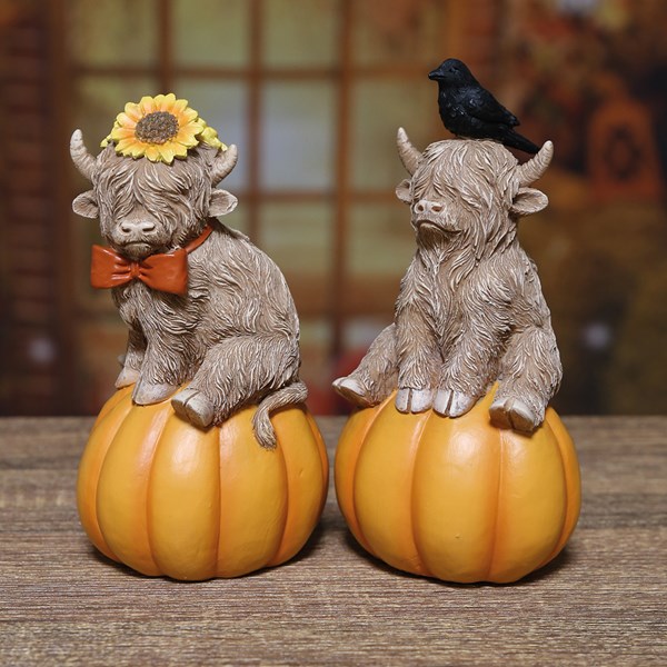 Highland Cow on Pumpkin 12cm 2 Assorted Highland Cow on Pumpkin 12cm 2 Assorted