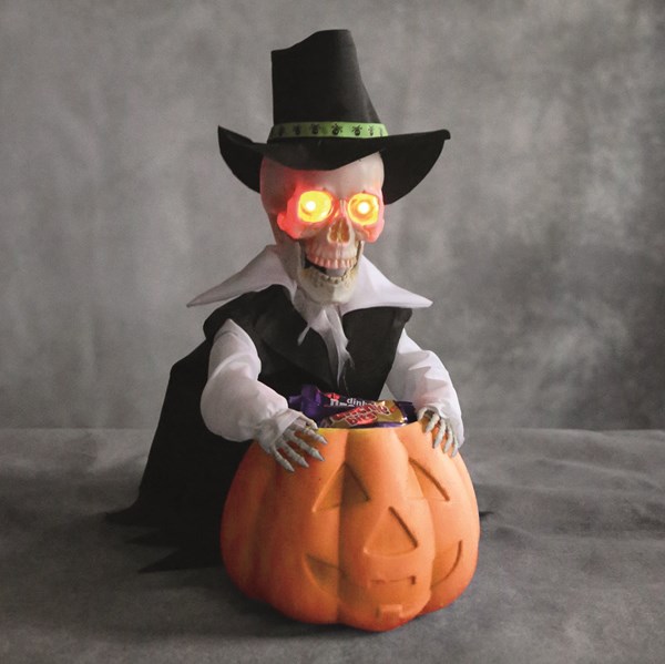 LED Animated Groom Bowl 25cm LED Animated Groom Bowl 25cm