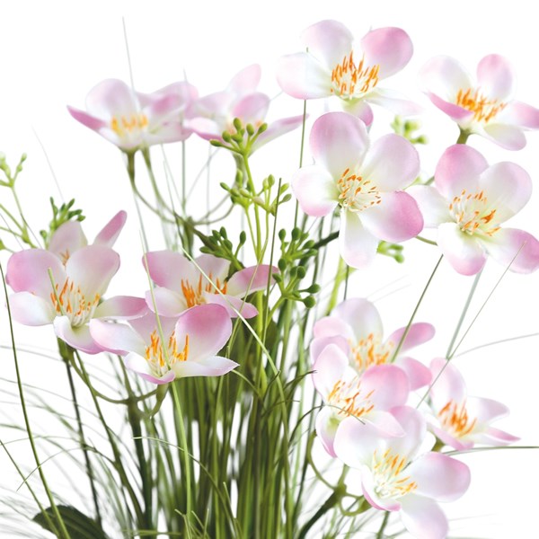 Pink Calleryana Grass Floral Bundle 65cm Pink Calleryana Grass Floral Bundle 65cm