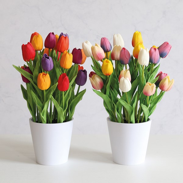Tulip In Pot 28x38cm 2 Assorted