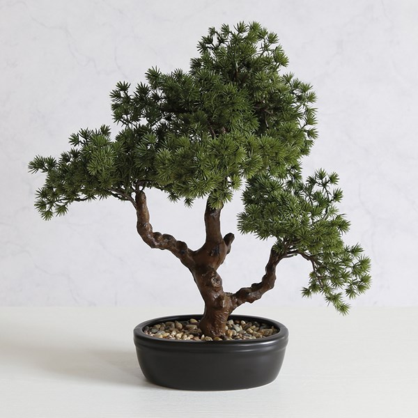 Potted Bonsai 43cm