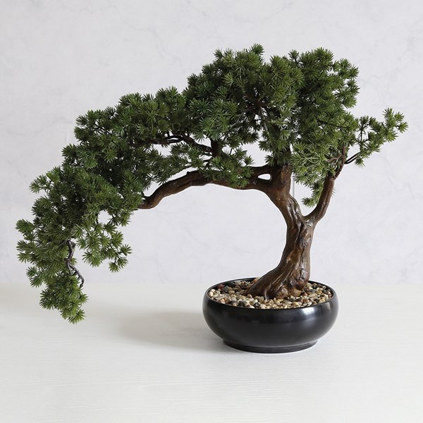 Potted Bonsai 42cm Potted Bonsai 42cm
