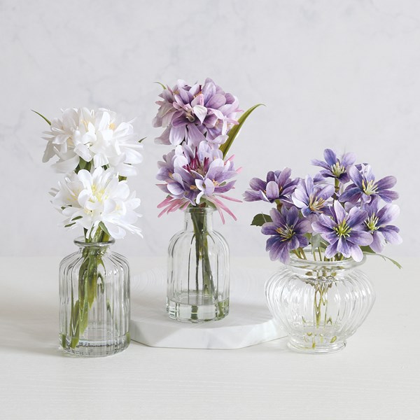 Floral Display Jar 21cm 2 Assorted Floral Display Jar 21cm 2 Assorted