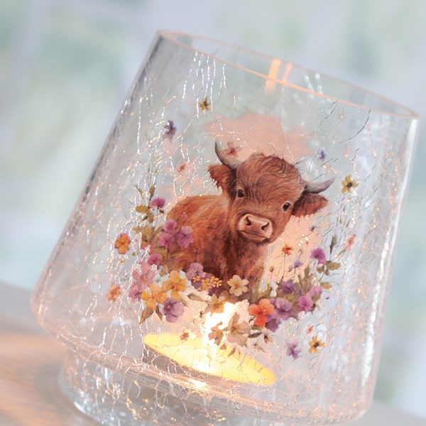 Highland Cow Candle Hld 18cm