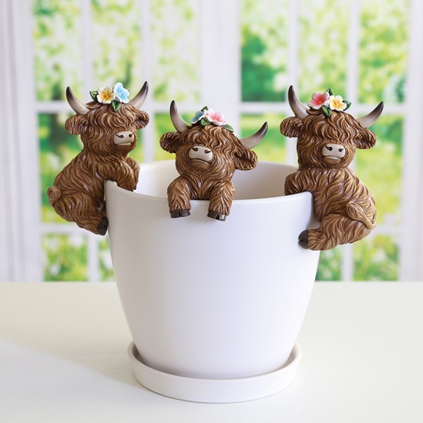 Highland Cow Pot Hangers 3 Assorted Highland Cow Pot Hangers 3 Assorted