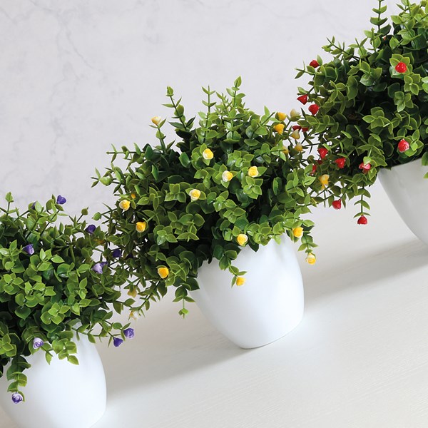 Floral Bonsai 30cm 3 Assorted Floral Bonsai 30cm 3 Assorted