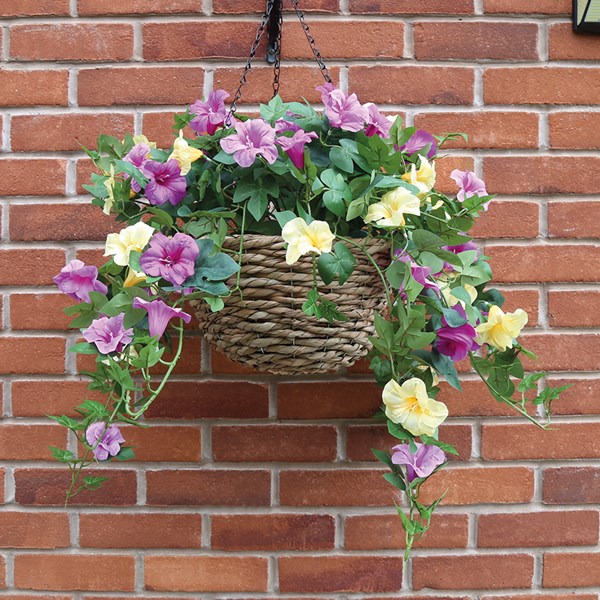Petunia Hg Basket Pk/Yel 85cm