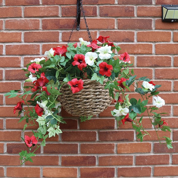 Petunia Hanging Basket Red/White 85cm Petunia Hanging Basket Red/White 85cm