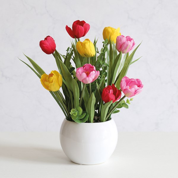 Tulips In Ceramic Pot 43cm Tulips In Ceramic Pot 43cm