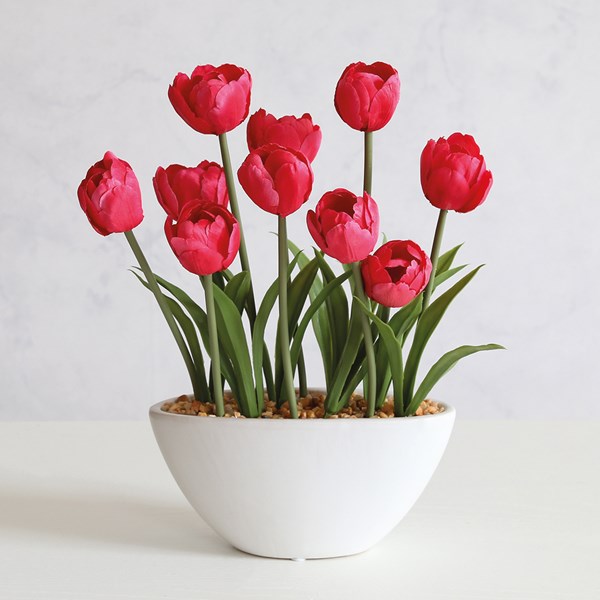 Red Tulip Pot 33cm