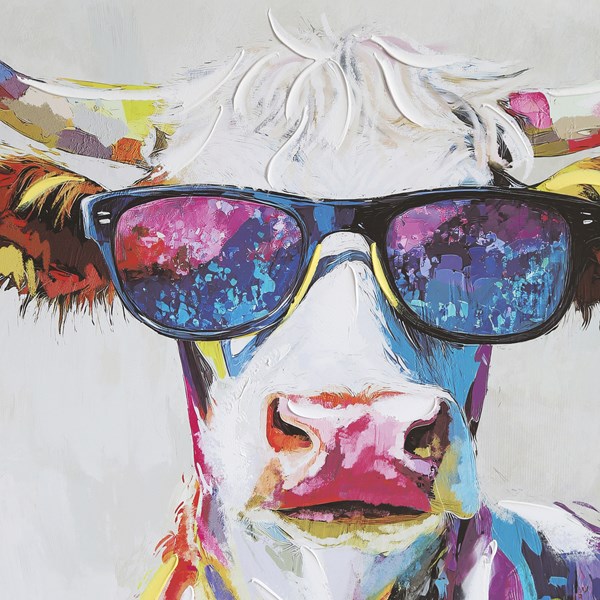 Cool Cow Canvas 80 x 80cm Cool Cow Canvas 80 x 80cm
